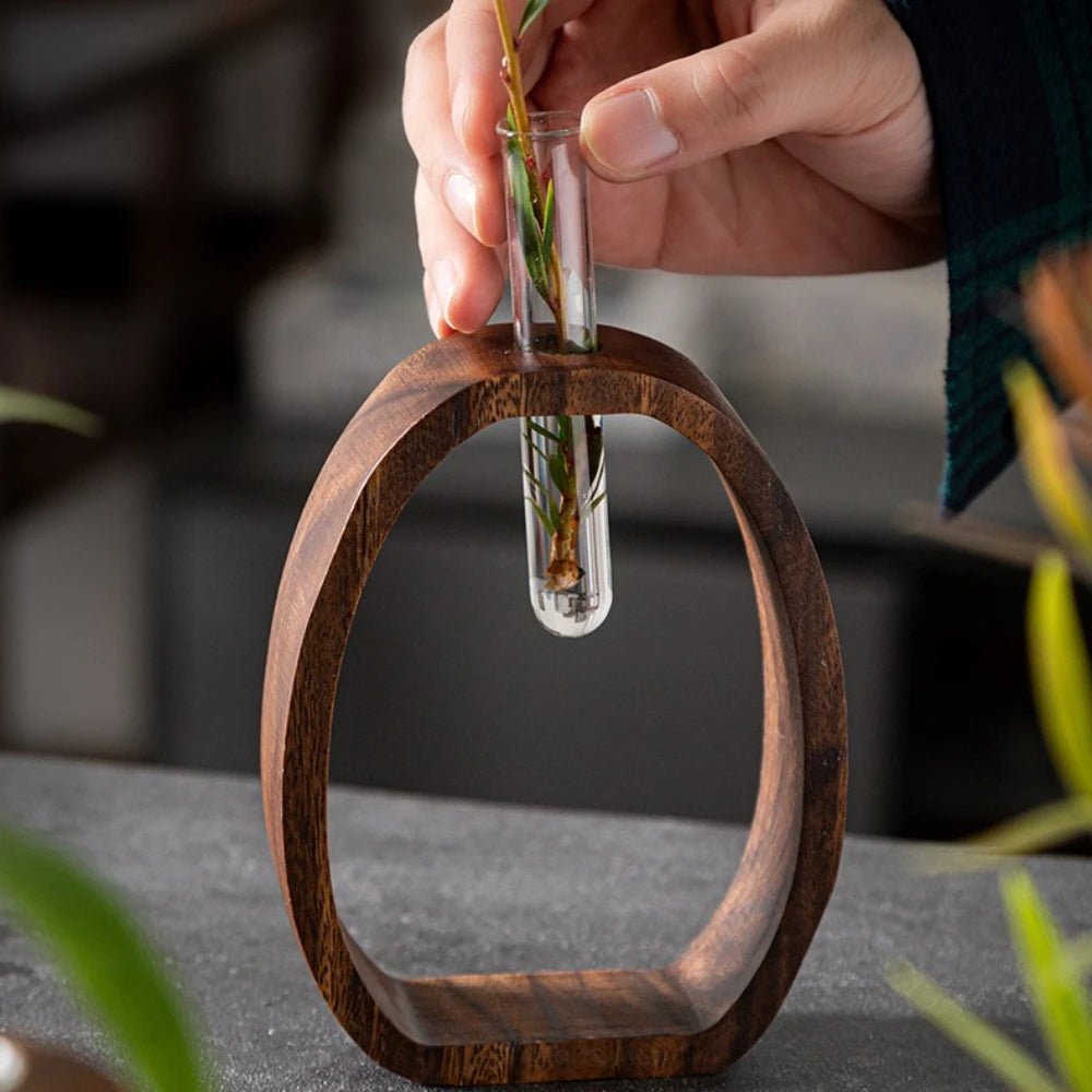 Conjunto de 2 Peças: Vaso Hidropônico de Vidro com Base de Madeira Nogueira